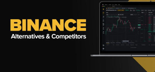 10 Best Binance Pay Alternatives in Africa 2026 : Features, Risks & Comparison