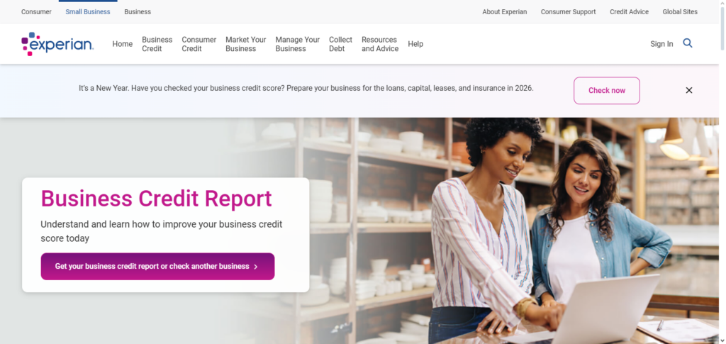 Experian Business Credit Reports