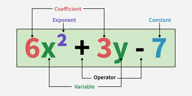 Polynomial Prop DAO