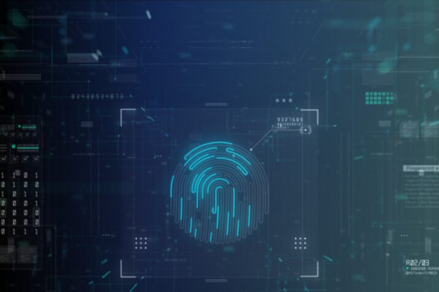 10 Best Crypto KYC & Identity Verification Providers 2026