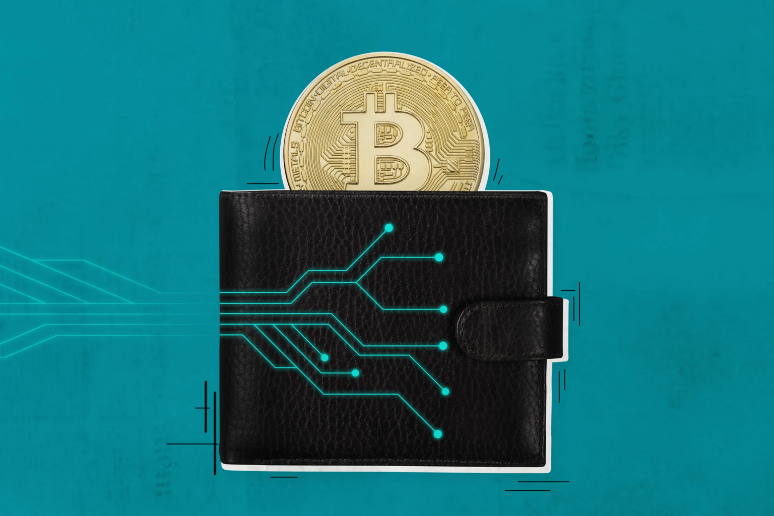 10 Best Crypto Wallets for Treasury Management in 2026