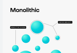 What is Monolithic Blockchains?