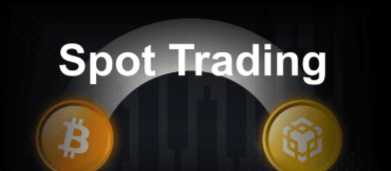 10 Best Spot Trading Exchanges for Beginners ( Binance Alternatives)