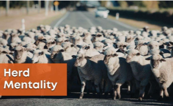 Herd Mentality