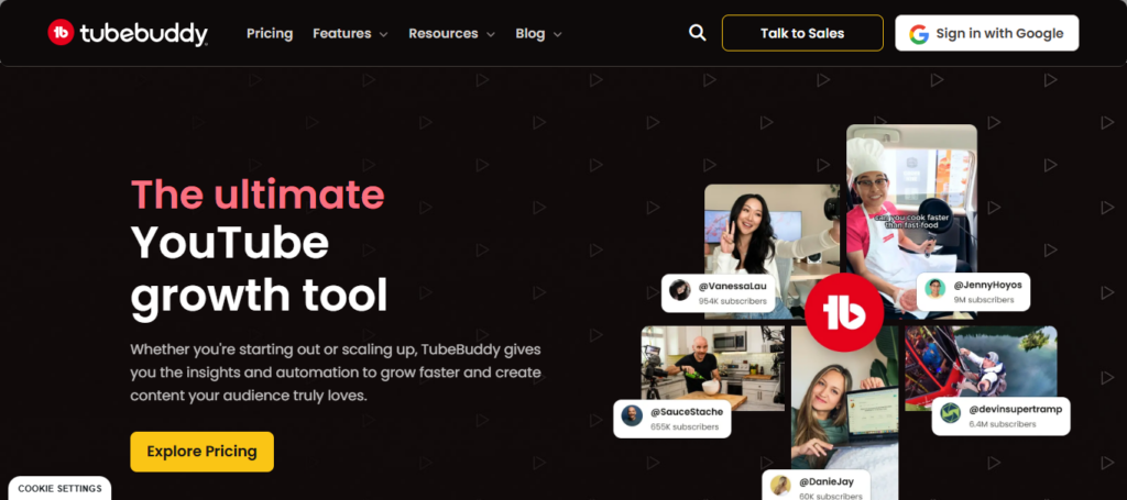 TubeBuddy AI