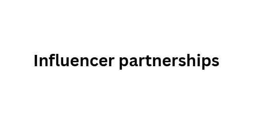 Influencer partnerships