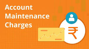 Account maintenance fees