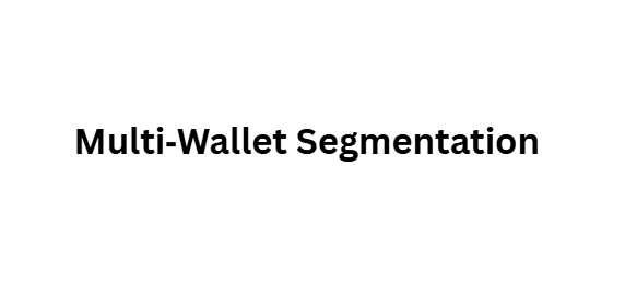 Multi‑Wallet Segmentation