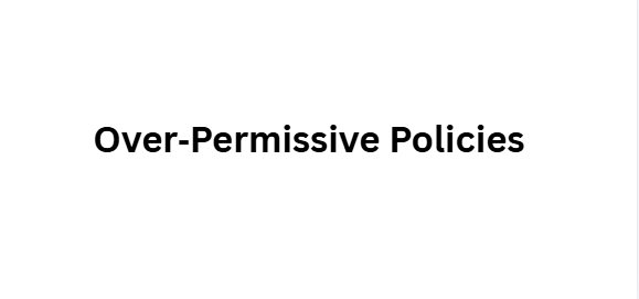 Over‑Permissive Policies