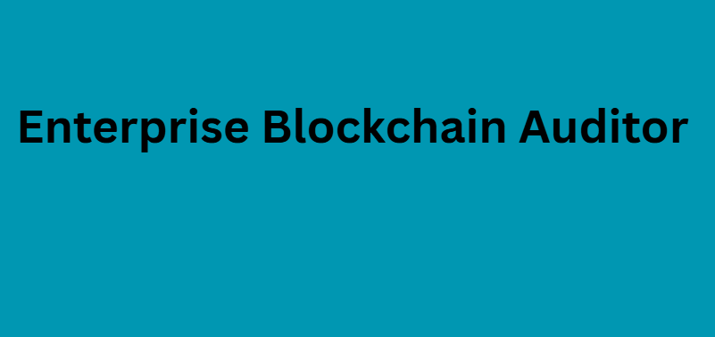 Enterprise Blockchain Auditor