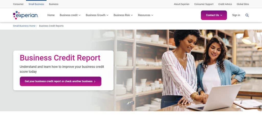Experian Business Credit Reports
