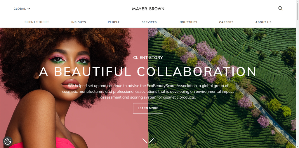 Mayer Brown